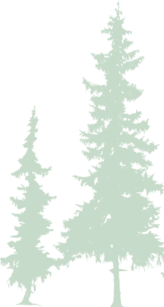 BUNGALOW PANORAMA VIEW