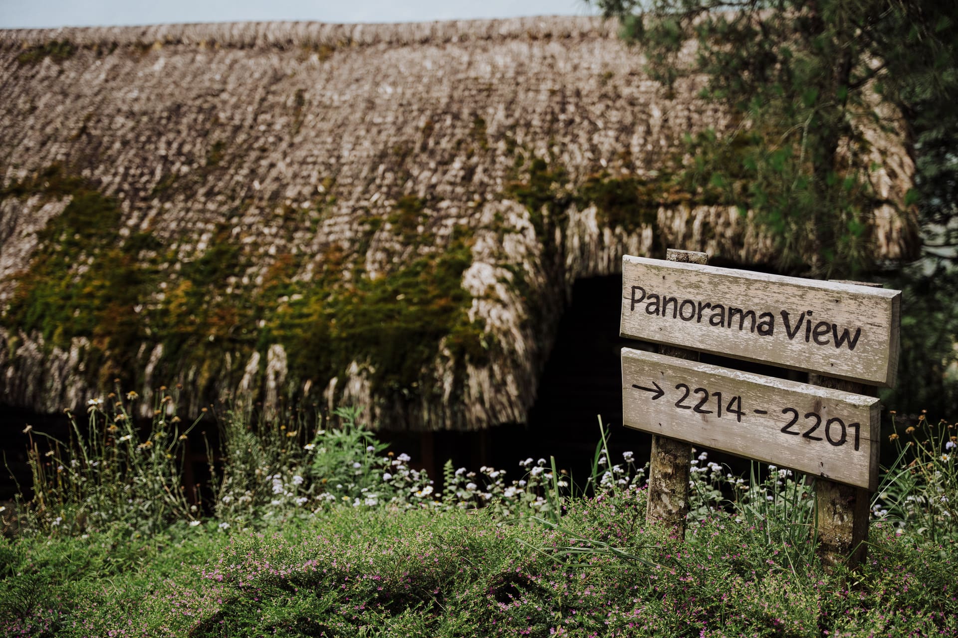 Christmas and New Year 2026 Festive Experience